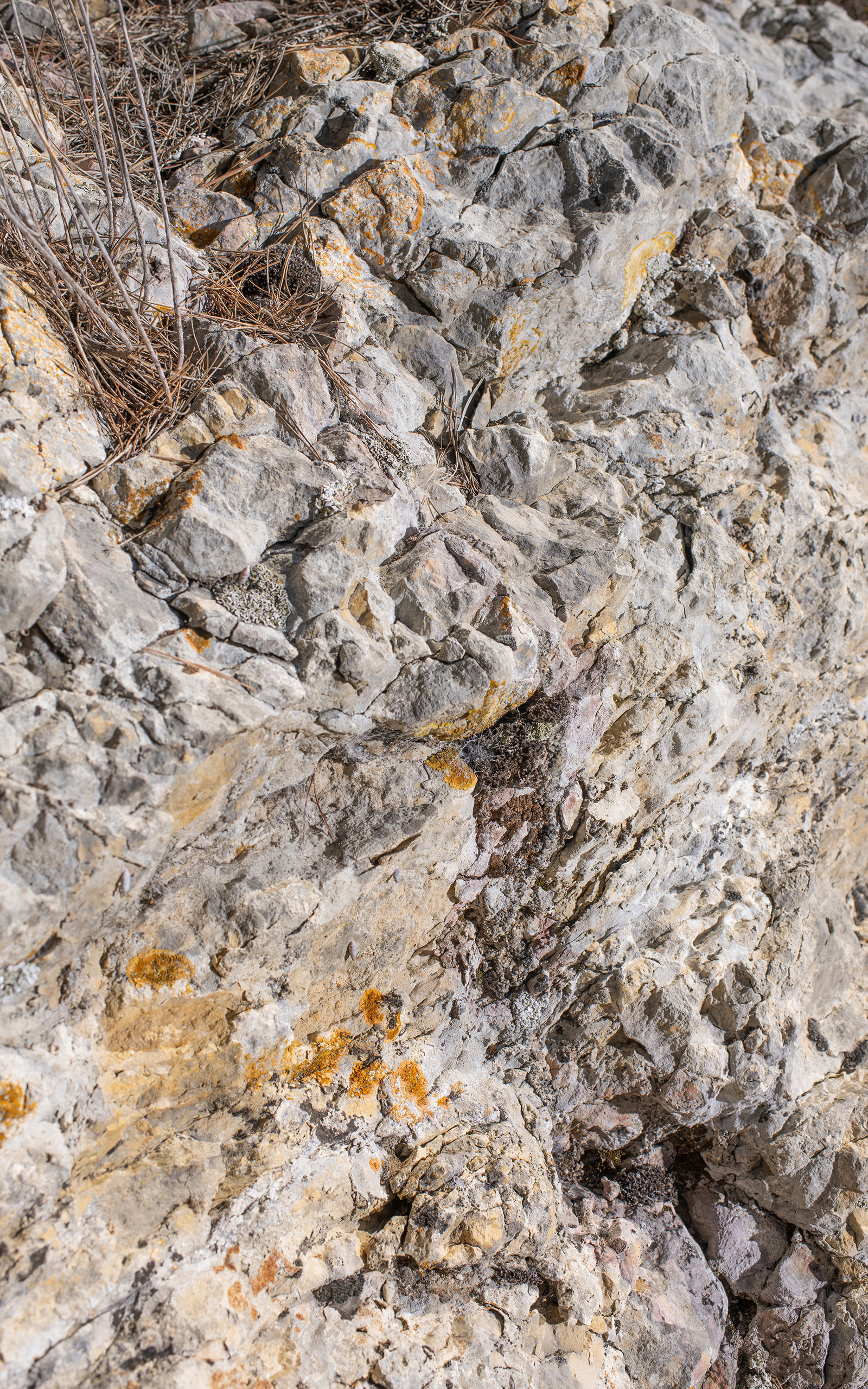 Vignobles de Trévallon