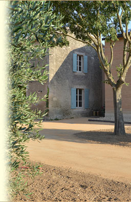 Compte-rendu : Verticale du domaine Trevallon: 9 novembre 2012 Presentation_droite