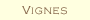 VIGNES